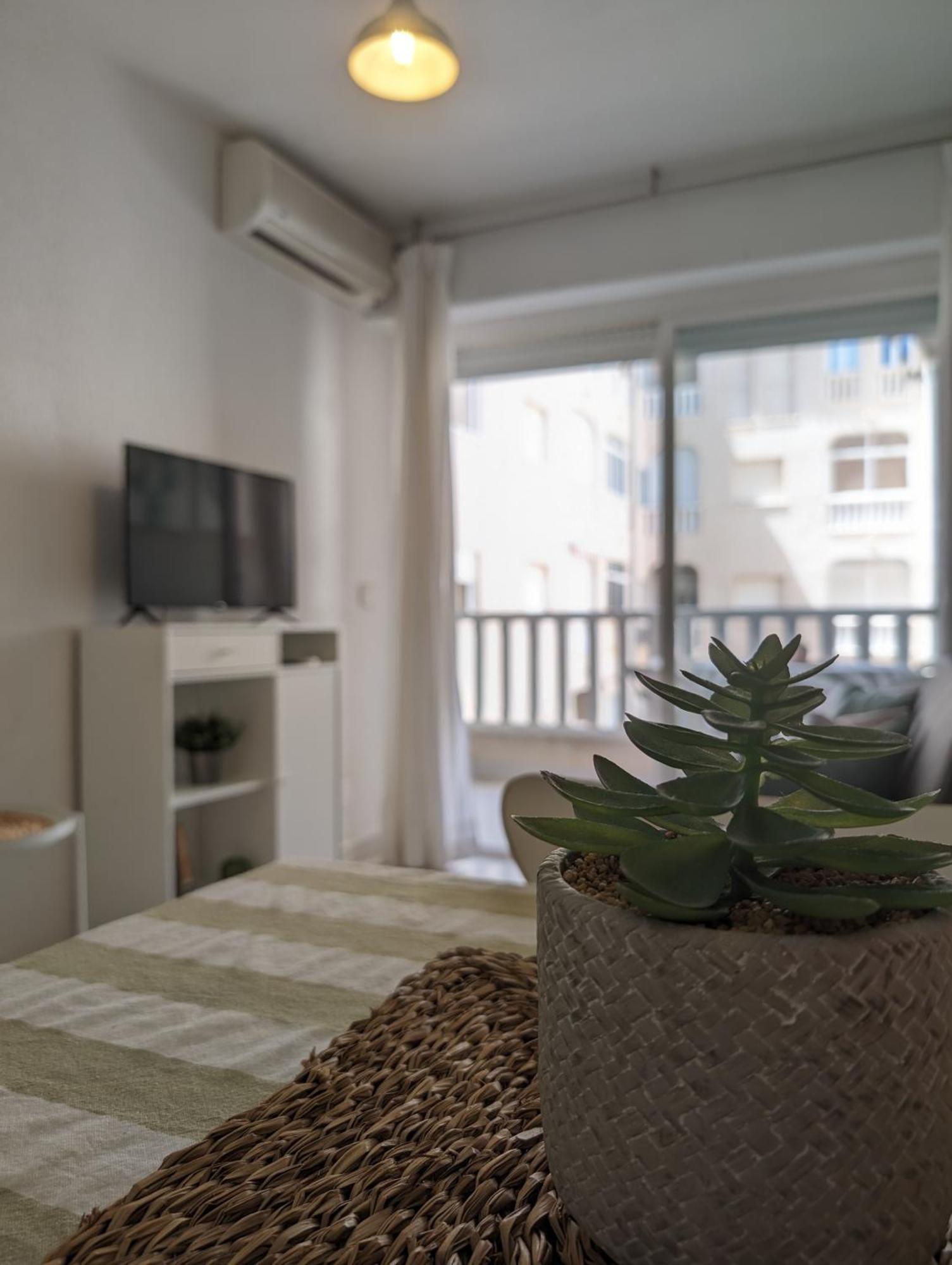 Torreviejaplace מראה חיצוני תמונה